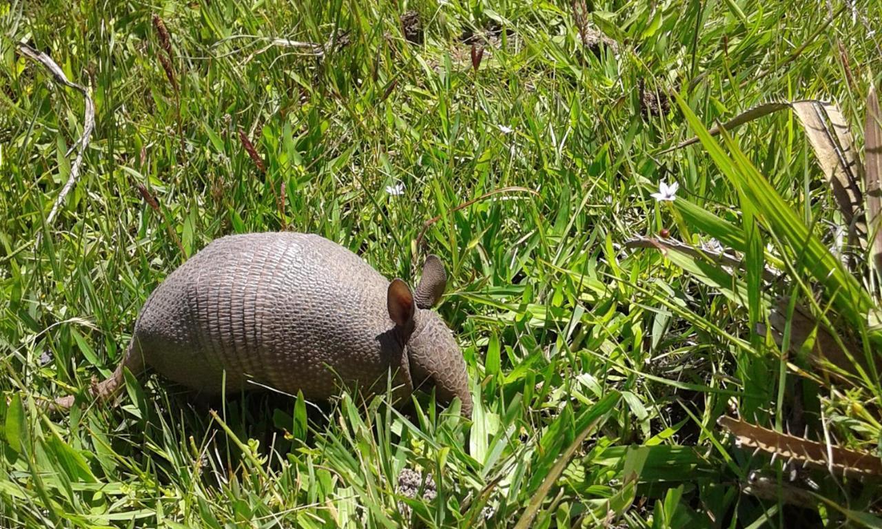 Los Chaja Ecolodge Barra de Valizas Ngoại thất bức ảnh